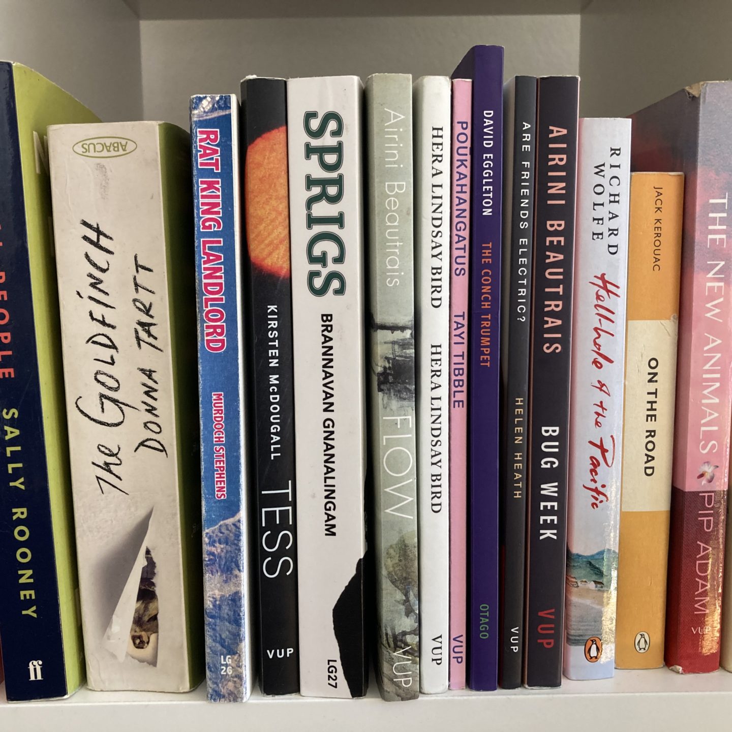 Novels on a bookshelf